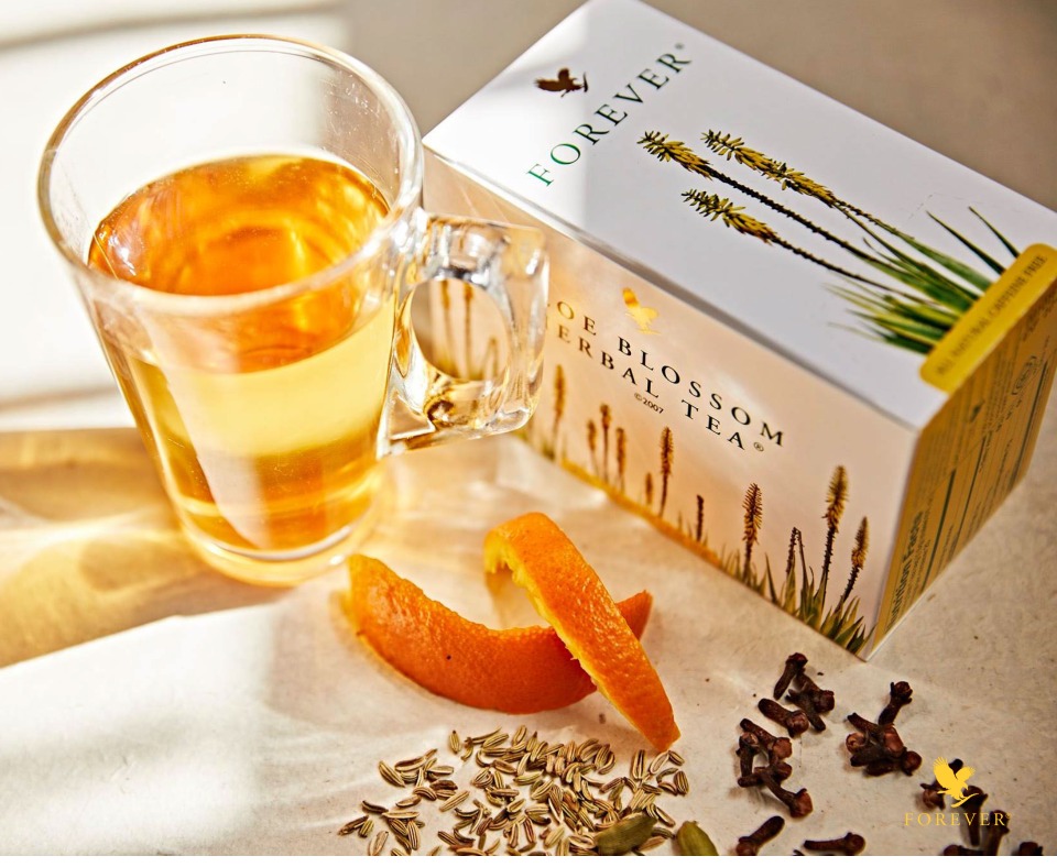 313408953_6052518181448685_750582564194772045_n